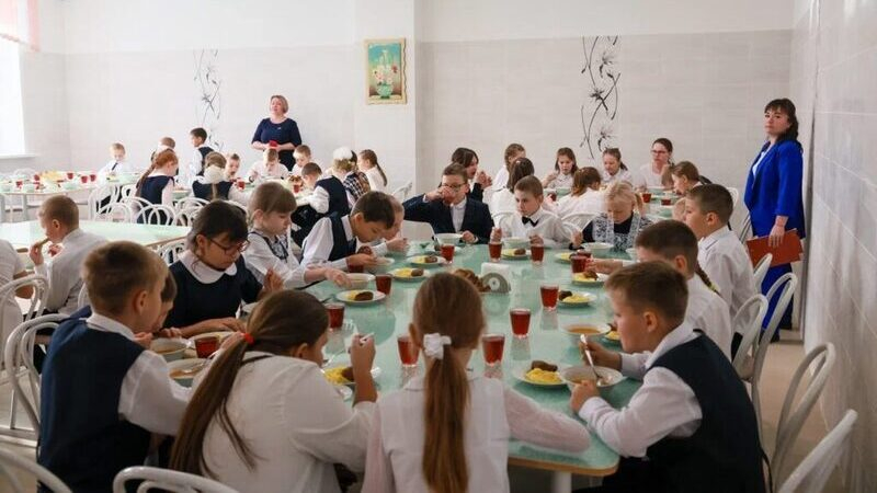 Правительство поручило увеличить закупку рыбы для школьных столовых